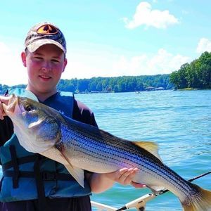 Meet your Posher, Adam